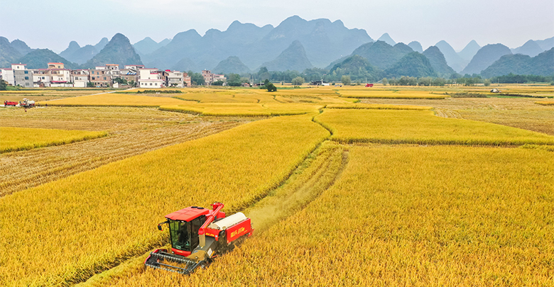 機械作業助秋收