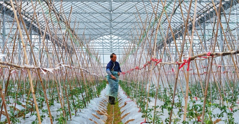 田間管理搶農時