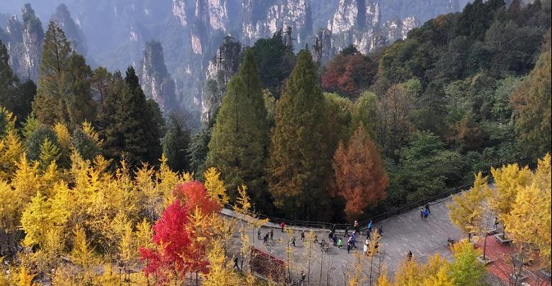 斑斕秋色引客來